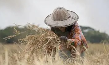 Boros Kadazandusun Liwan